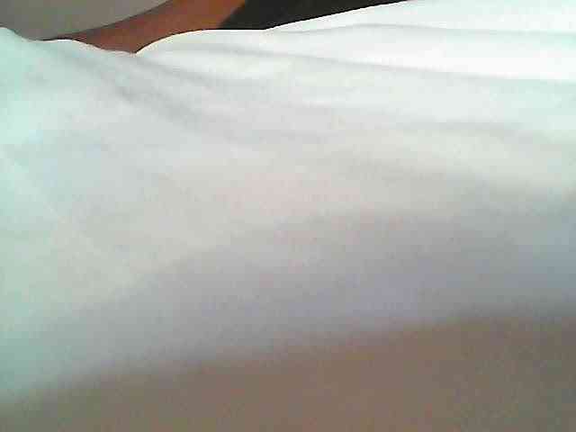 CurvyR webcam