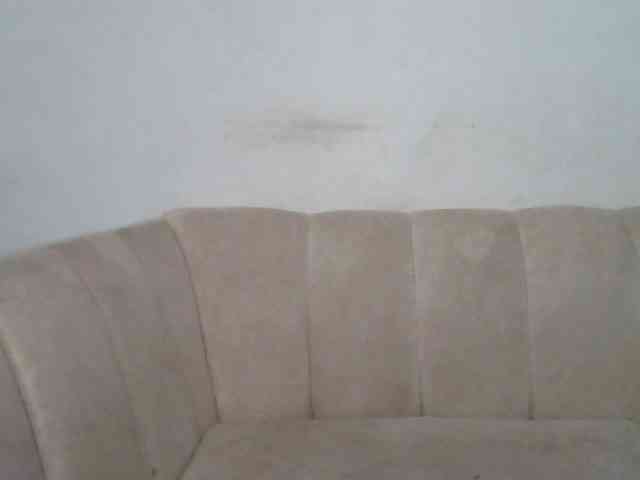 CurvyR webcam