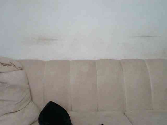 CurvyR webcam