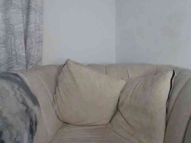CurvyR webcam