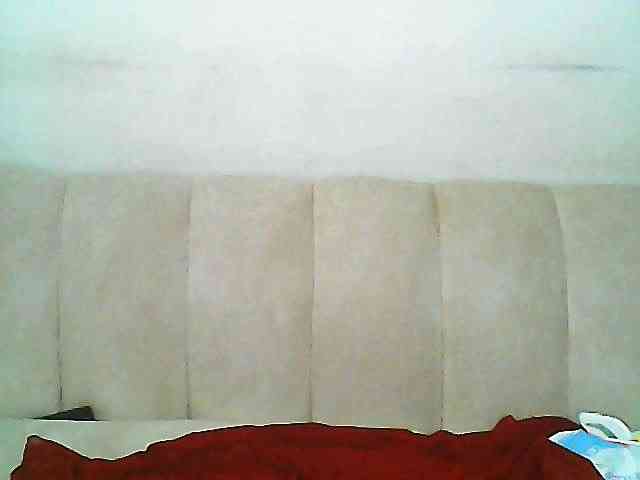 CurvyR webcam