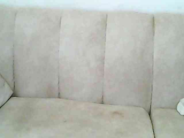 CurvyR webcam