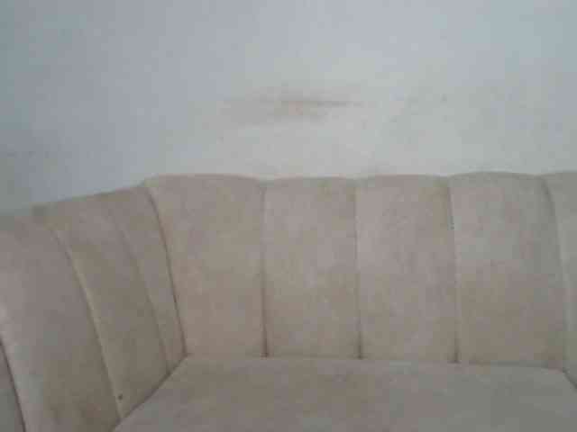 CurvyR webcam