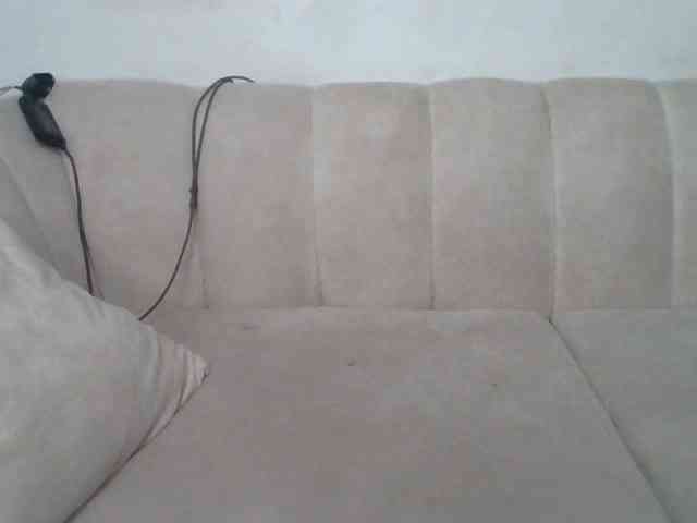 CurvyR webcam