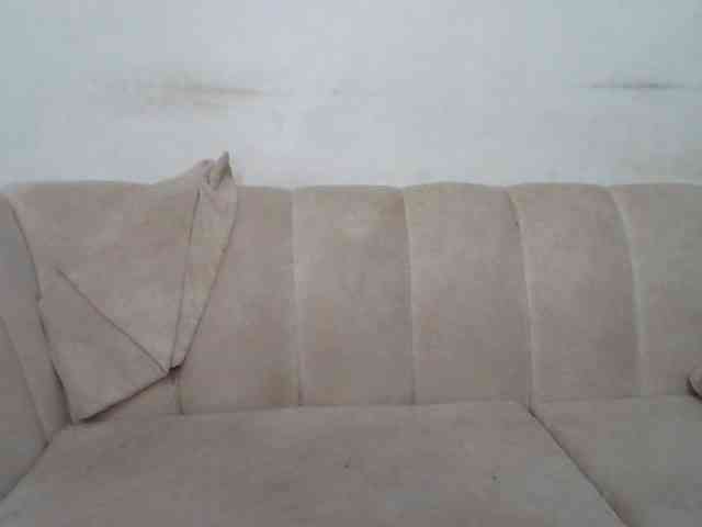 CurvyR webcam