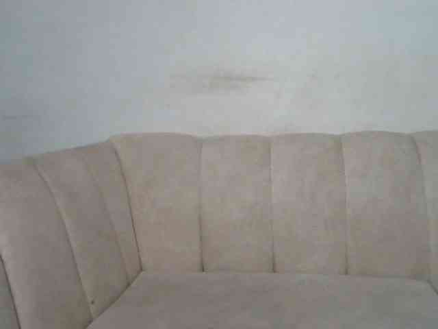 CurvyR webcam