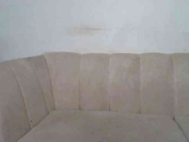 CurvyR webcam