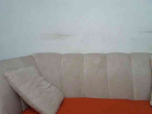 CurvyR webcam