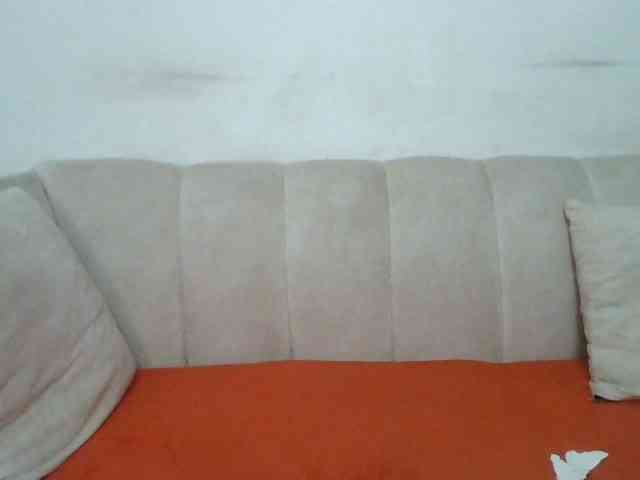 CurvyR webcam