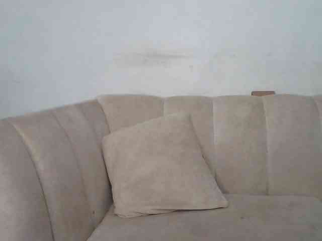 CurvyR webcam