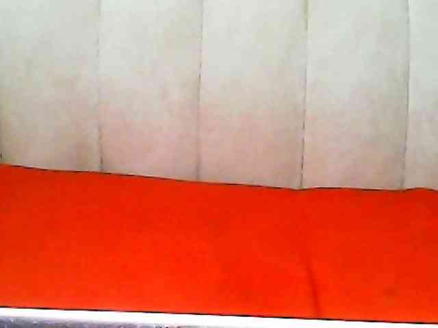 CurvyR webcam
