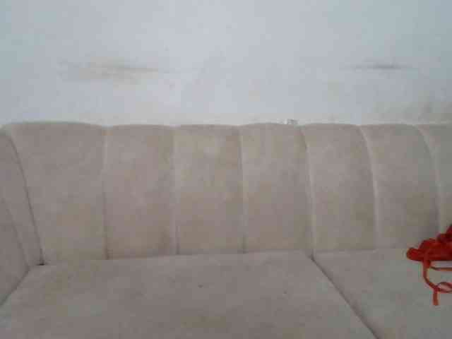 CurvyR webcam
