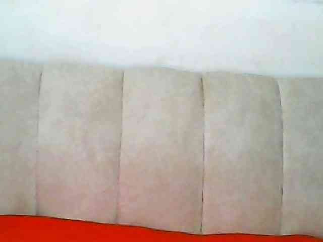 CurvyR webcam