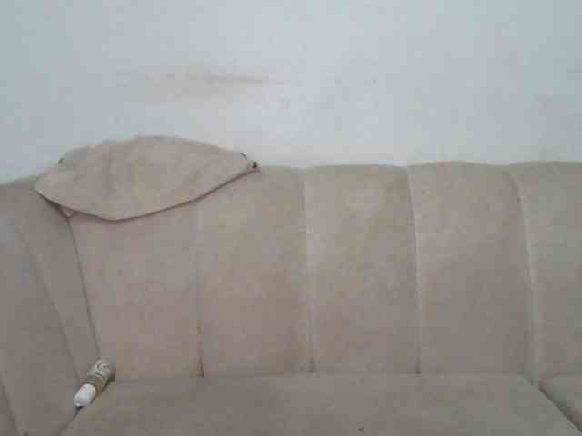 CurvyR webcam