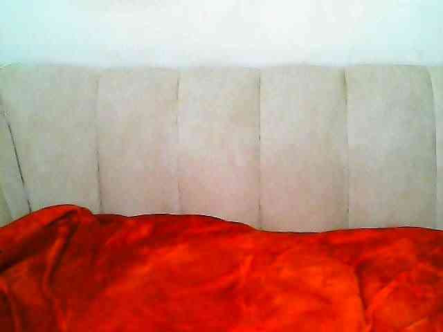 CurvyR webcam