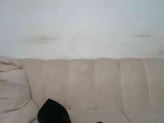 CurvyR webcam