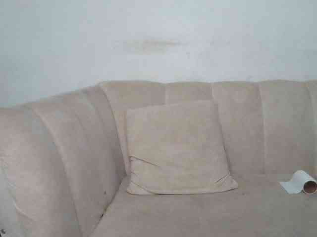 CurvyR webcam
