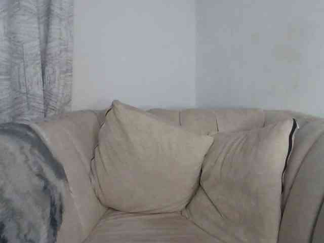 CurvyR webcam