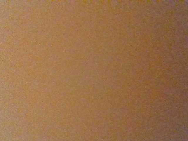 Kittydew live cam on BongaCams