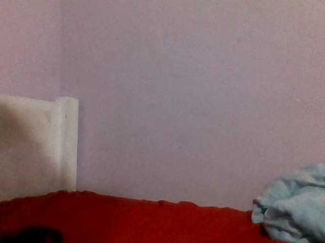 Kittydew live cam on BongaCams