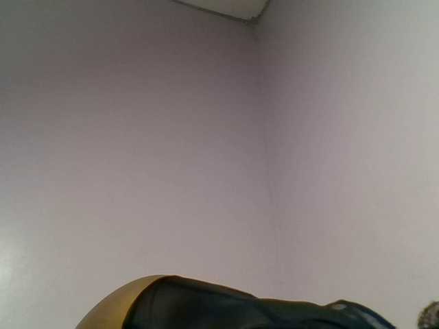 Kittydew live webcam show