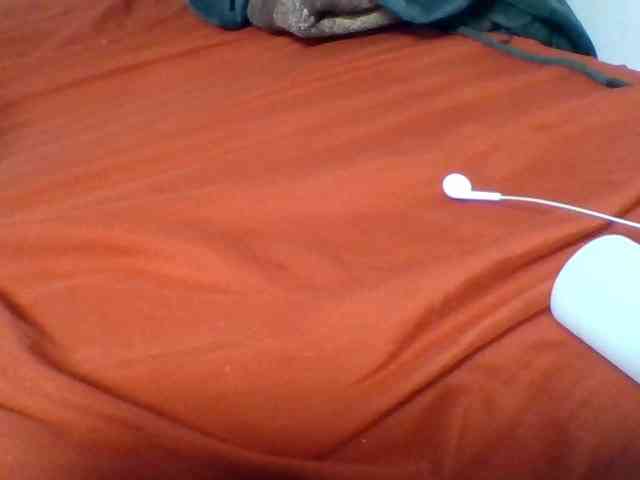 Kittydew webcam