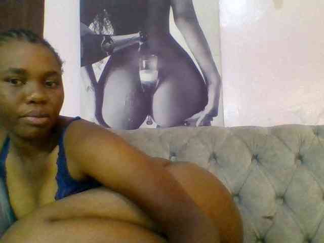 Kittydew webcam
