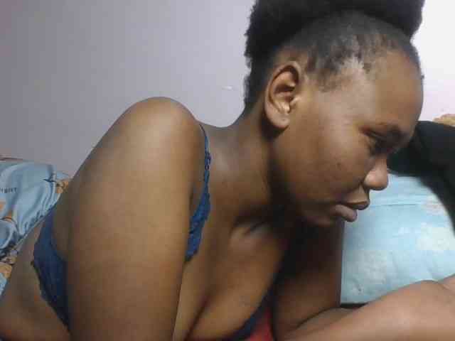 Kittydew webcam