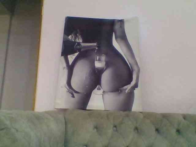 Kittydew webcam