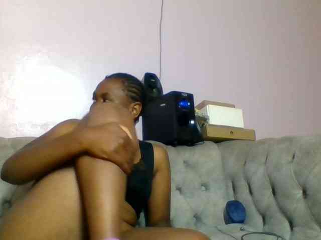 Kittydew webcam