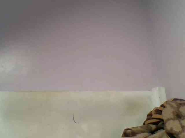Kittydew webcam