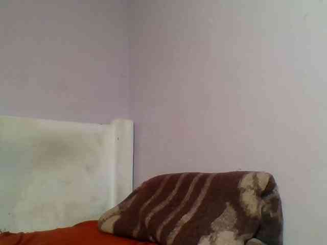 Kittydew webcam
