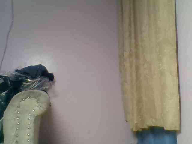 Kittydew webcam