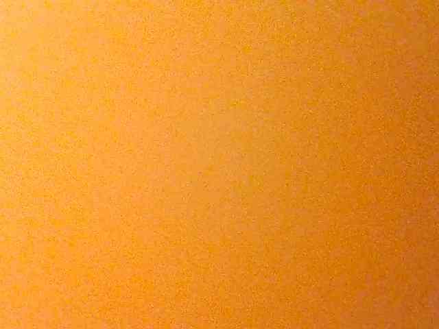 Kittydew webcam