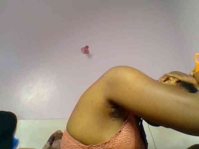 Kittydew webcam