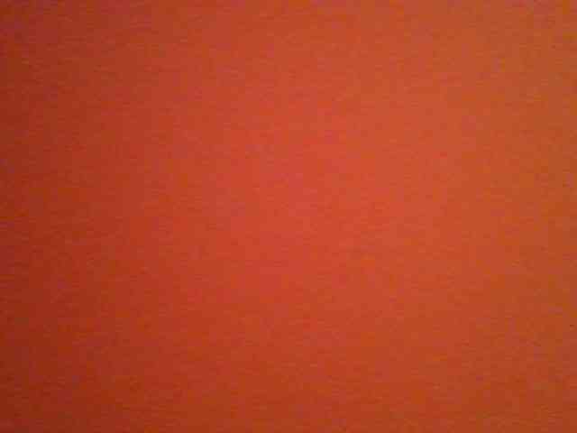 Kittydew webcam