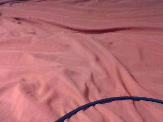 Kittydew webcam