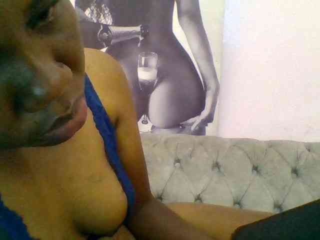 Kittydew webcam