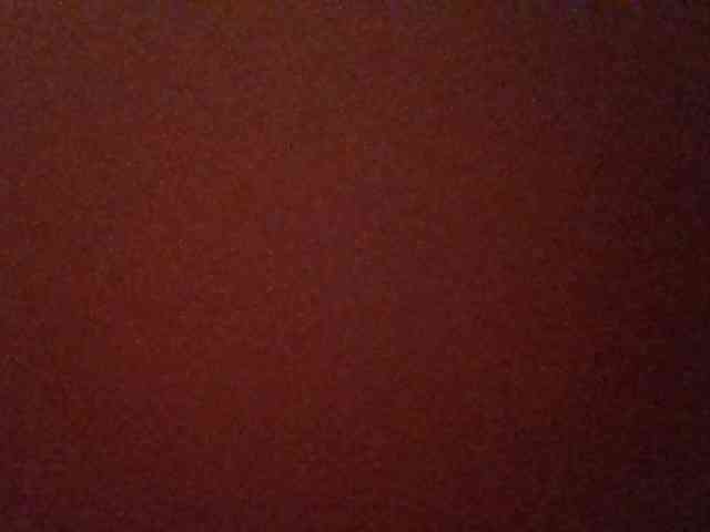 Kittydew webcam