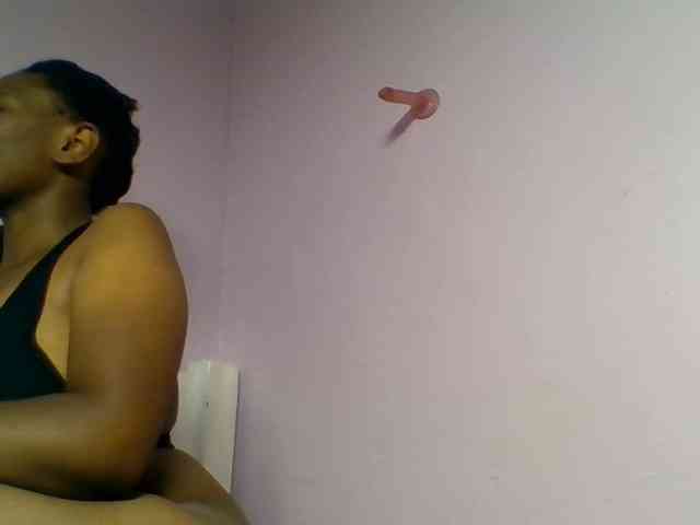 Kittydew webcam