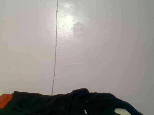 Kittydew webcam