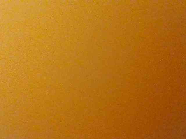 Kittydew webcam