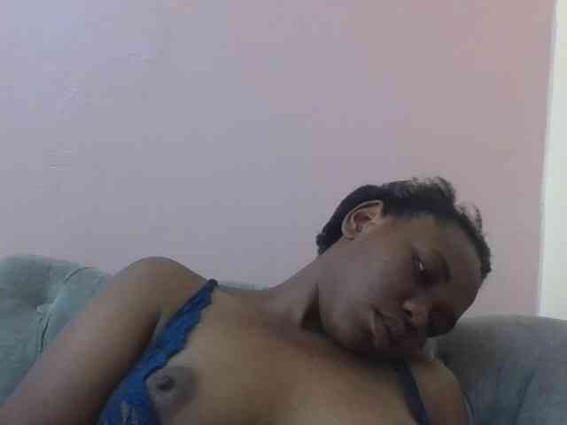 Kittydew webcam