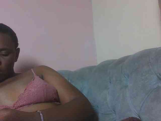 Kittydew webcam