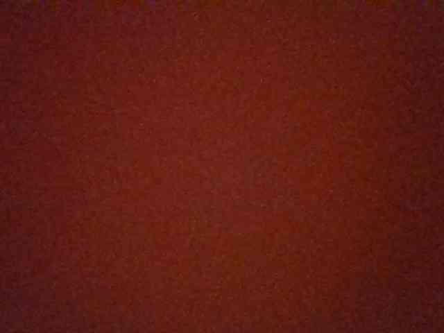Kittydew webcam