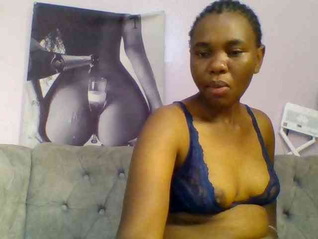 Kittydew webcam