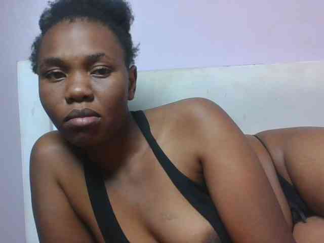Kittydew webcam