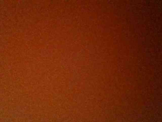 Kittydew webcam