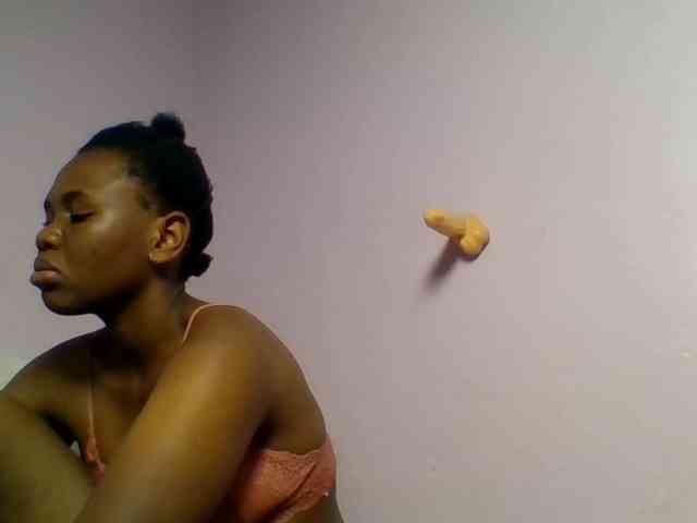 Kittydew webcam