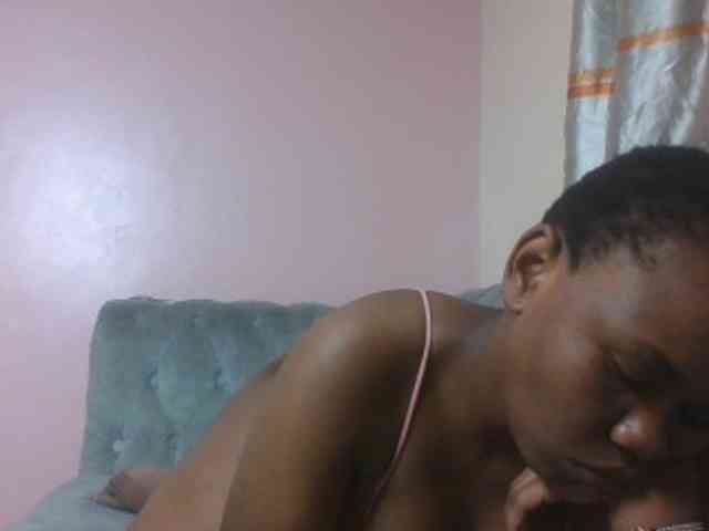 Kittydew webcam
